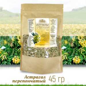 Астрагал перепончатый