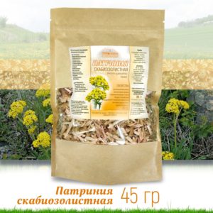Патриния скабиозолистная