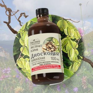 Диоскорея кавказская