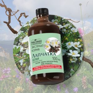 Лапчатка белая