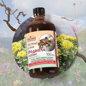 Родиола розовая