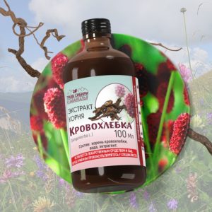 Кровохлёбка