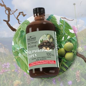Чёрный орех(плоды)